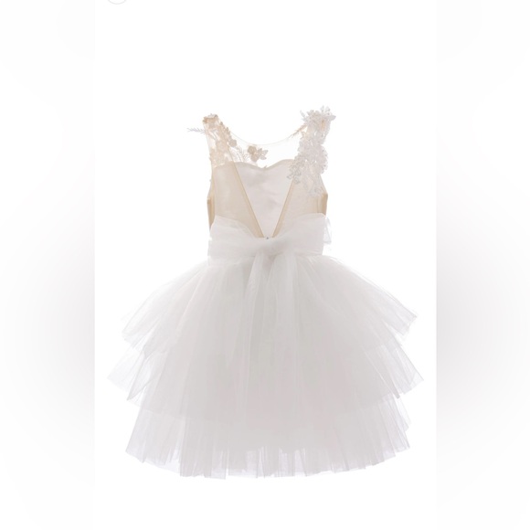 Tulleen 2T Carnelian Embroidered dress - Picture 3 of 8